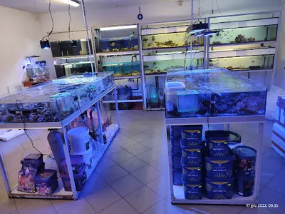 Reefbay - sklep z akwarystyką morską